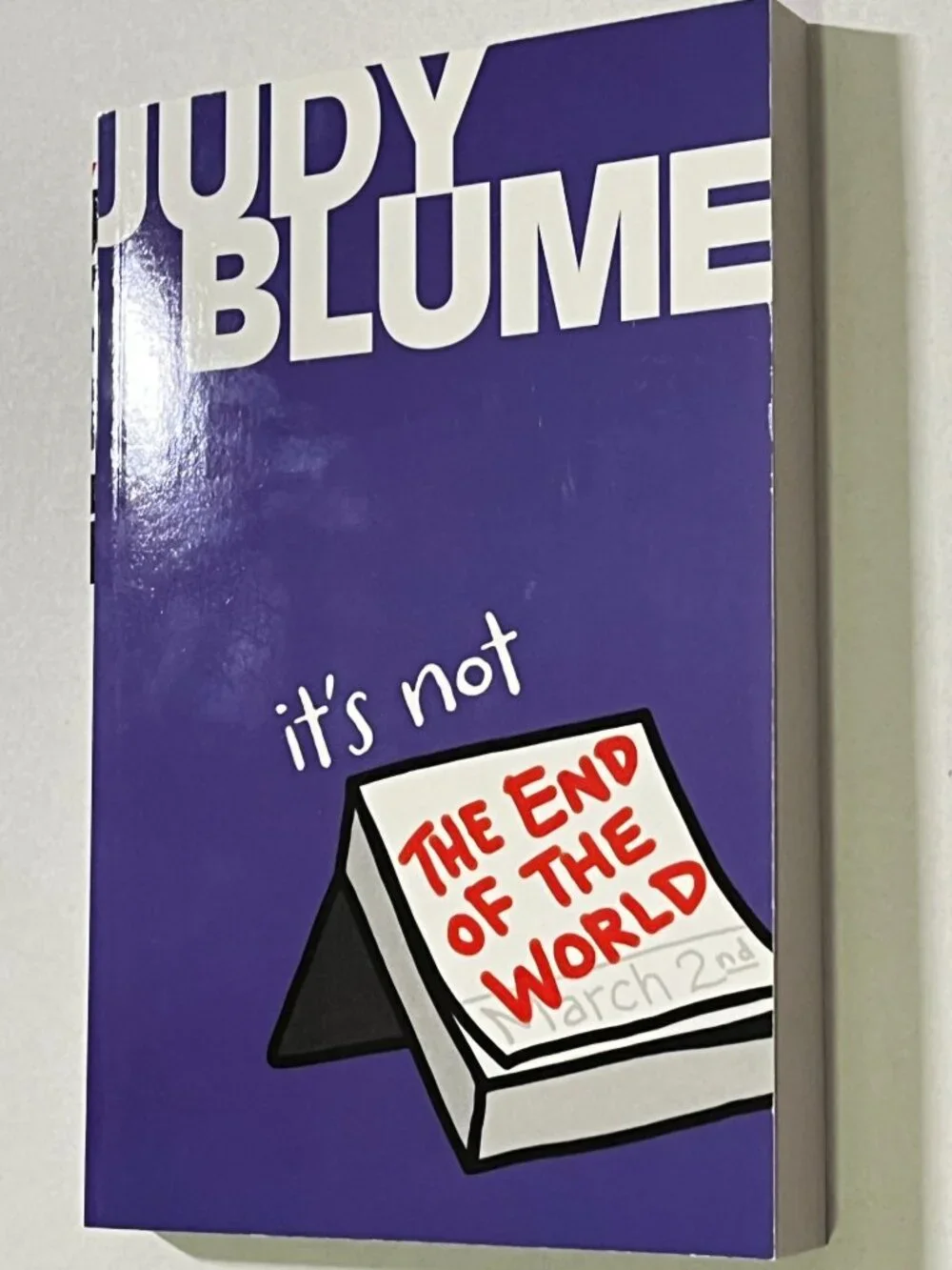 It's Not the End of the World Judy Blume Paperback Chapter Book